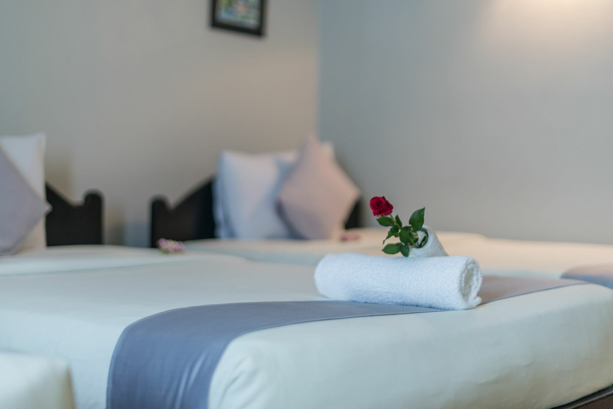 Jk Resident Hotell Siem Reap Eksteriør bilde